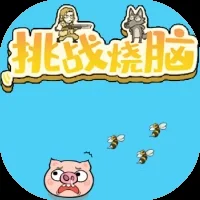 挑战烧脑-免广告